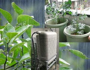 雨水活用プロジェクト